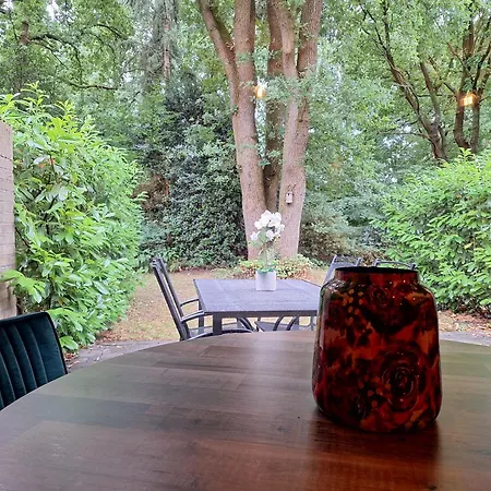 Heerlijk Boshuisje Bosnest De Vink Met Privetuin Nabij Veluwepark Сasa de vacaciones