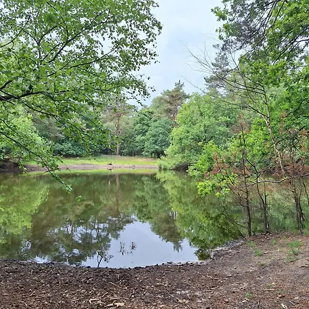 Сasa de vacaciones Heerlijk Boshuisje Bosnest De Vink Met Privetuin Nabij Veluwepark Otterlo