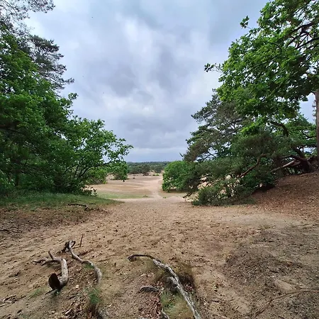 Heerlijk Boshuisje Bosnest De Vink Met Privetuin Nabij Veluwepark Сasa de vacaciones Otterlo
