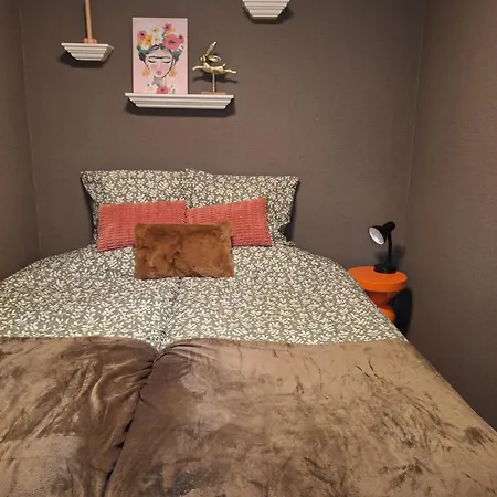 Prázdninový dům Heerlijk Boshuisje Bosnest De Vink Met Privetuin Nabij Veluwepark