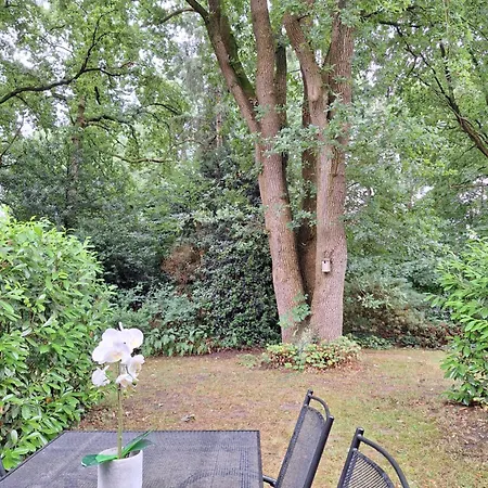 Heerlijk Boshuisje Bosnest De Vink Met Privetuin Nabij Veluwepark Prázdninový dům