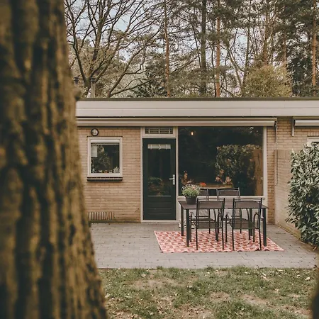 Heerlijk Boshuisje Bosnest De Vink Met Privetuin Nabij Veluwepark
