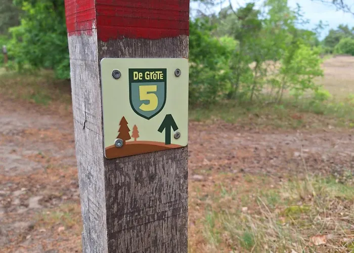 Heerlijk Boshuisje Bosnest De Vink Met Privetuin Nabij Veluwepark Semesterbostad Otterlo