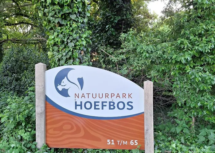 Semesterbostad Heerlijk Boshuisje Bosnest De Vink Met Privetuin Nabij Veluwepark Otterlo