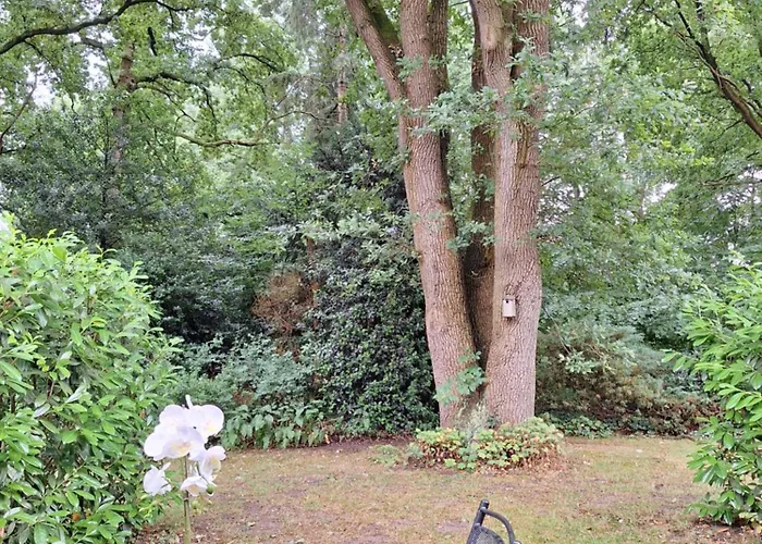 Heerlijk Boshuisje Bosnest De Vink Met Privetuin Nabij Veluwepark Semesterbostad