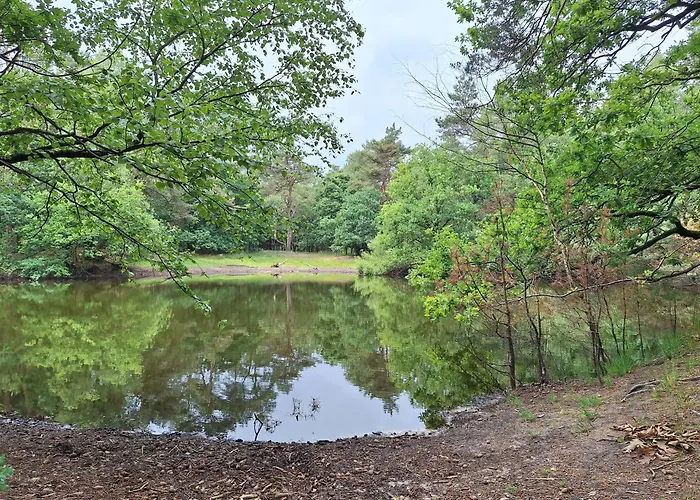Hébergement de vacances Heerlijk Boshuisje Bosnest De Vink Met Privetuin Nabij Veluwepark Otterlo