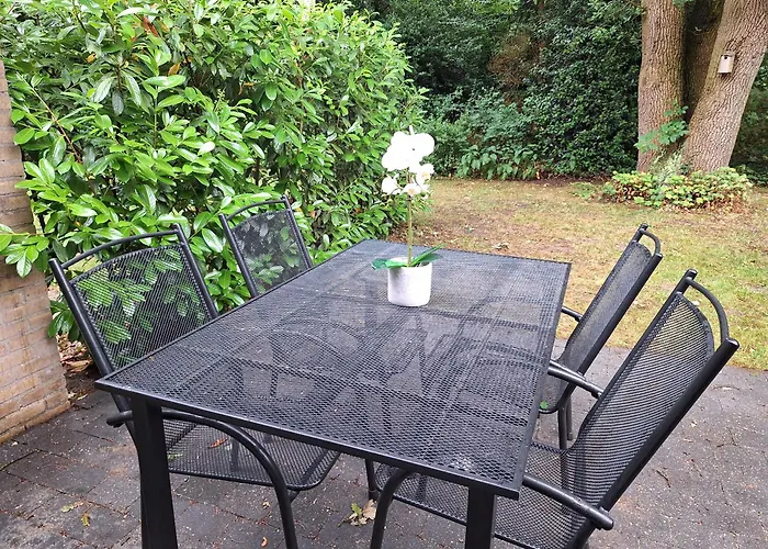 Heerlijk Boshuisje Bosnest De Vink Met Privetuin Nabij Veluwepark Otterlo