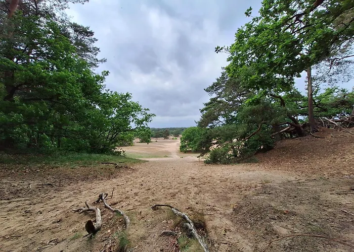 Heerlijk Boshuisje Bosnest De Vink Met Privetuin Nabij Veluwepark Hébergement de vacances Otterlo